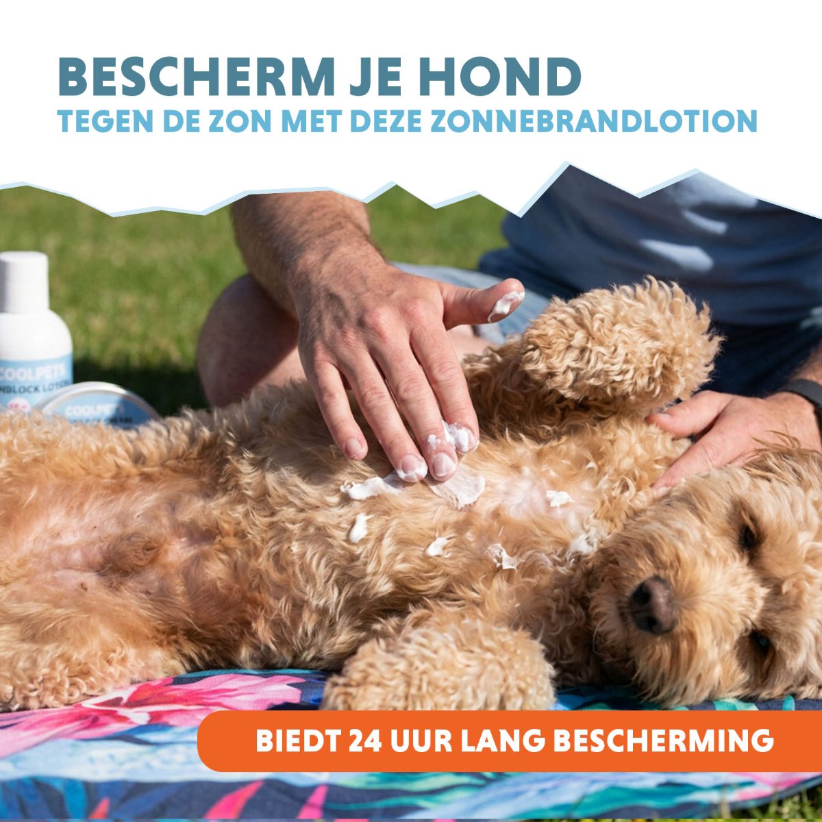 CoolPets Sunblock Lotion - Afbeelding 2