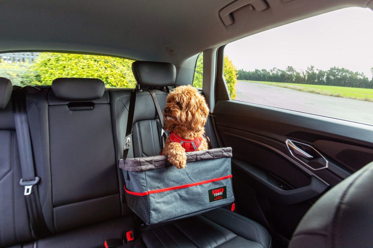 KONG Travel Ultimate Booster Seat & Tether - Afbeelding 2