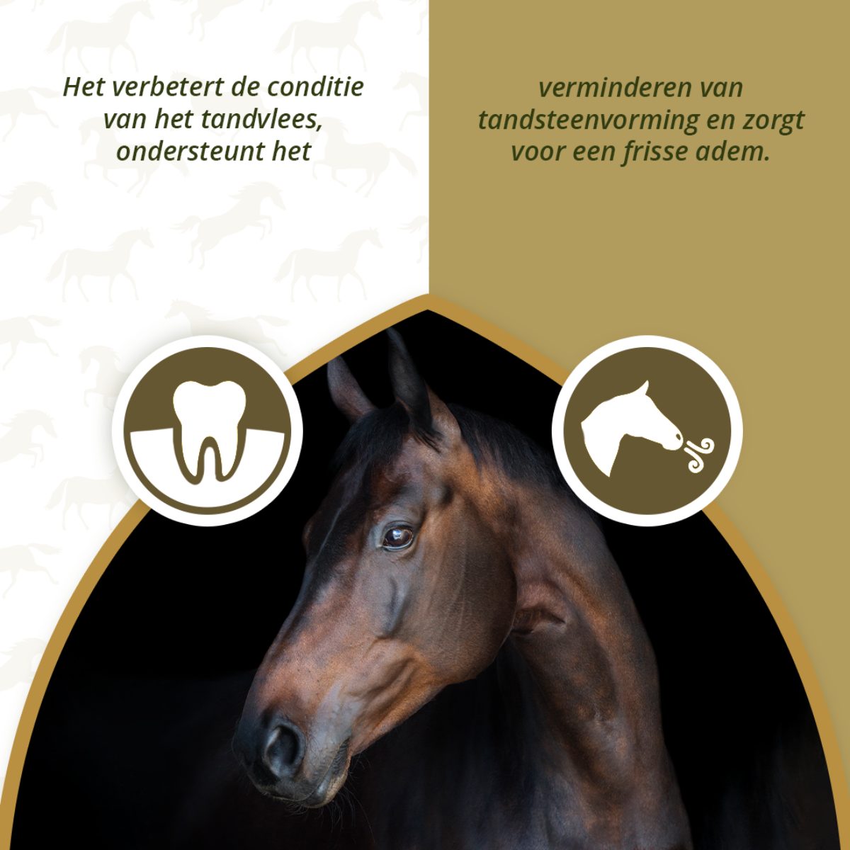 Excellent Horse Dental Care 1 kg - Afbeelding 3