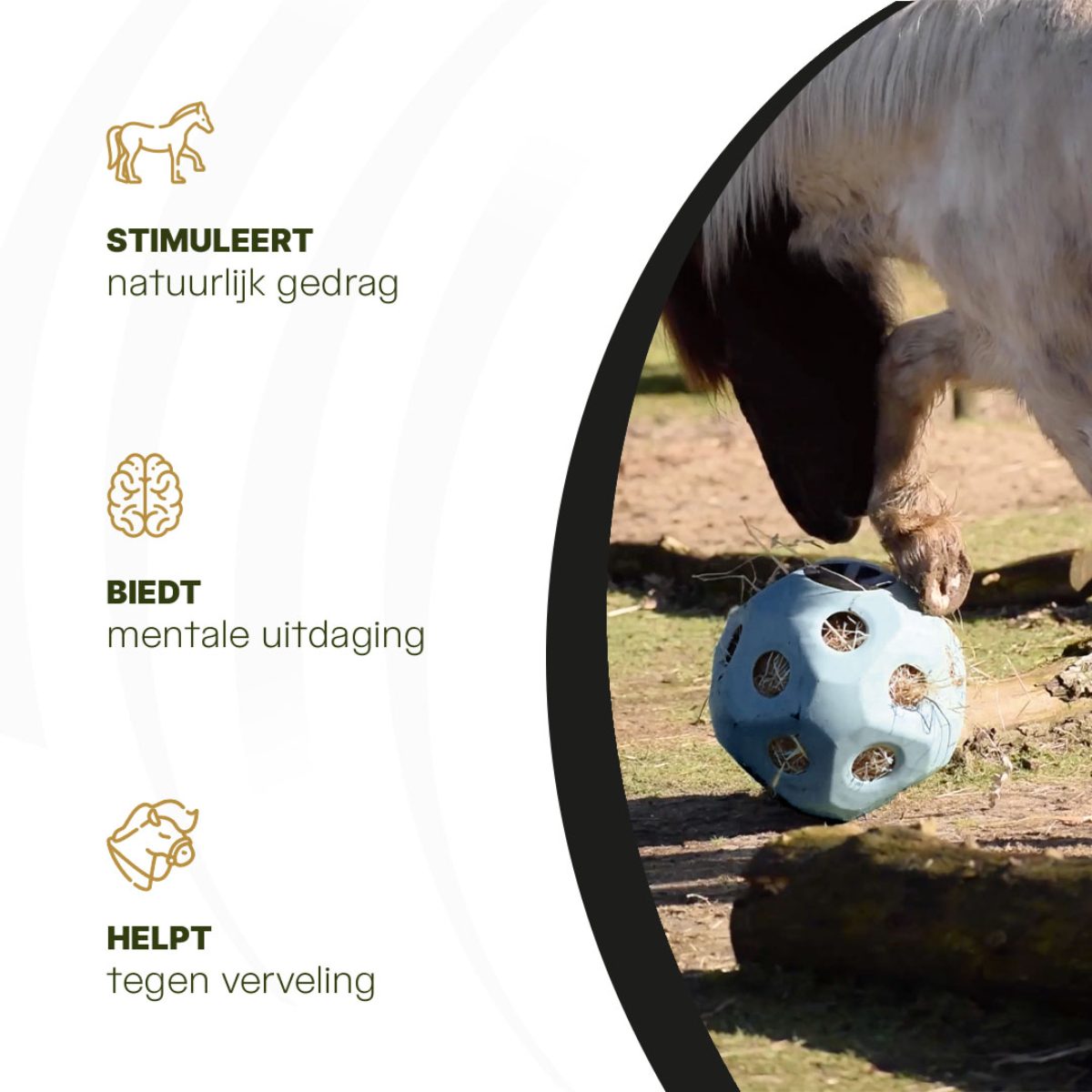 Excellent Horse Feed & Play Ball Blauw - Afbeelding 6
