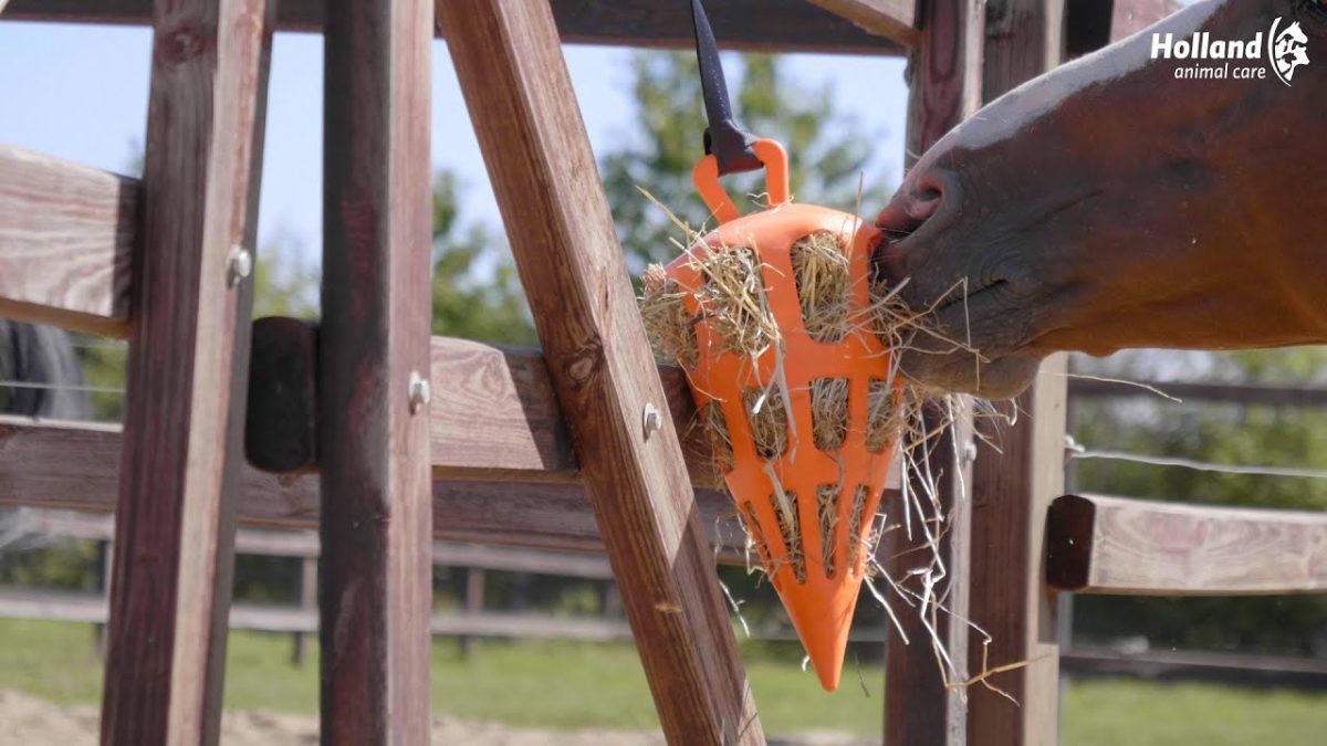 Hay Slow Feeder Fun & Flex Carrot Groen - Afbeelding 2