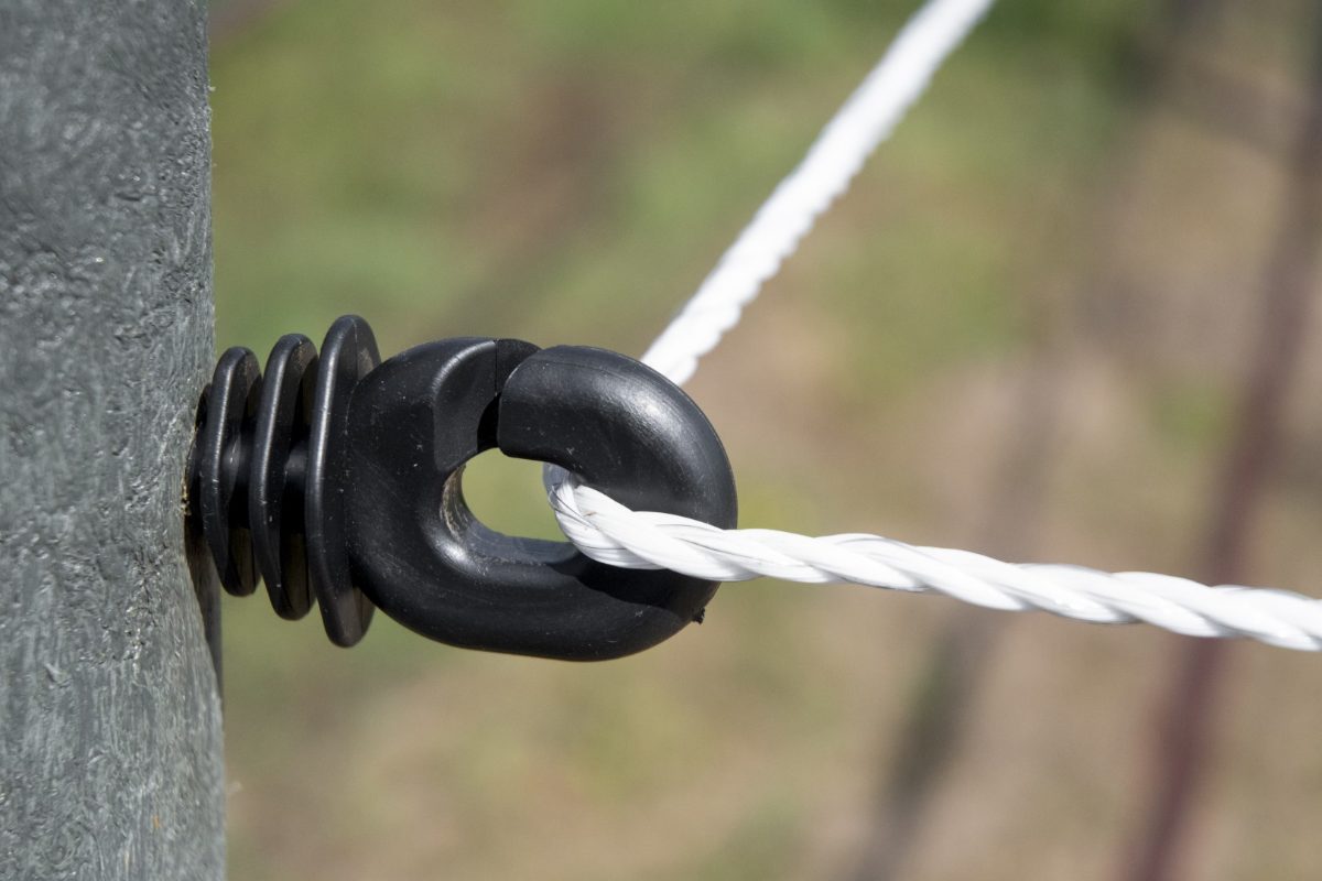 ZoneGuard Big-Hole Ringisolator (zdk) - Afbeelding 3