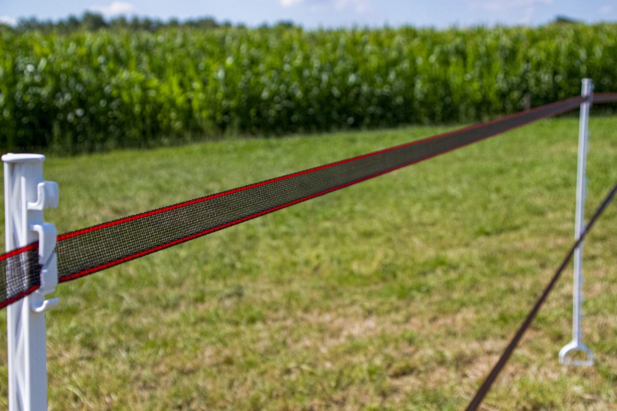 ZoneGuard 40 mm Plus afrasteringslint bruin 200 m - Afbeelding 3