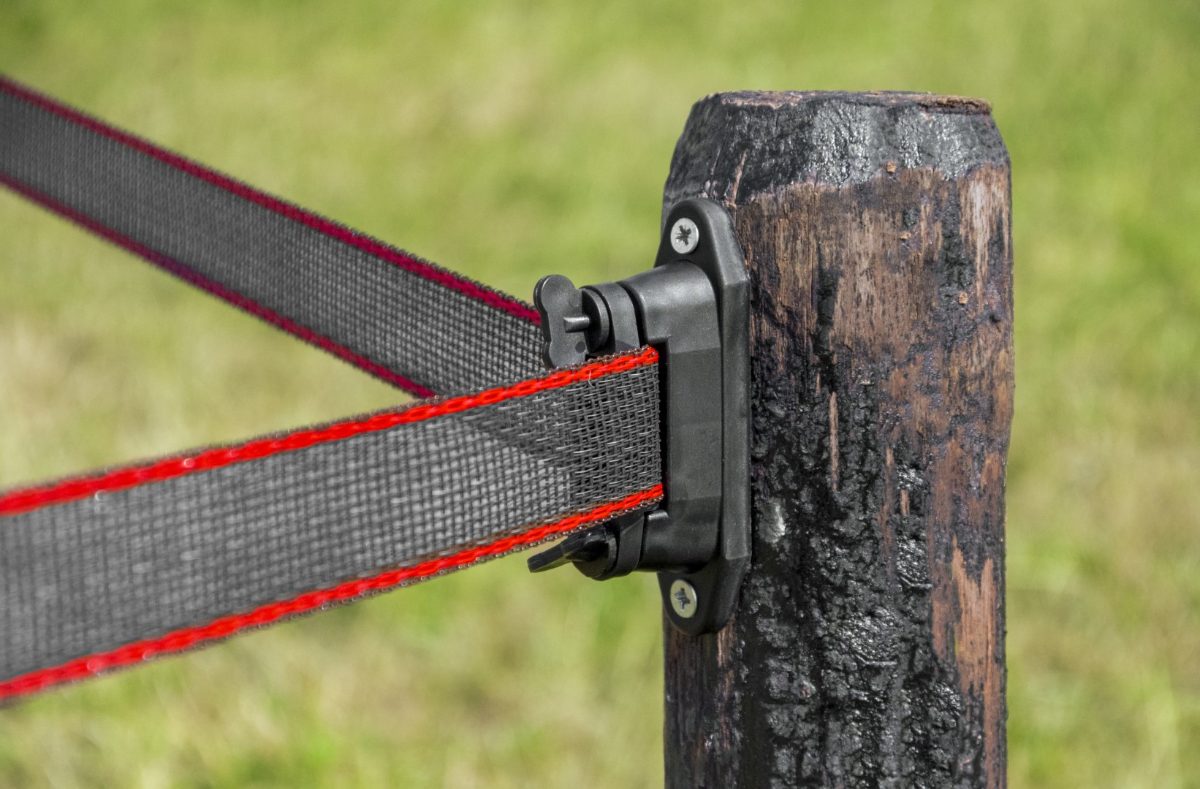 ZoneGuard 40 mm Plus afrasteringslint bruin 200 m - Afbeelding 4