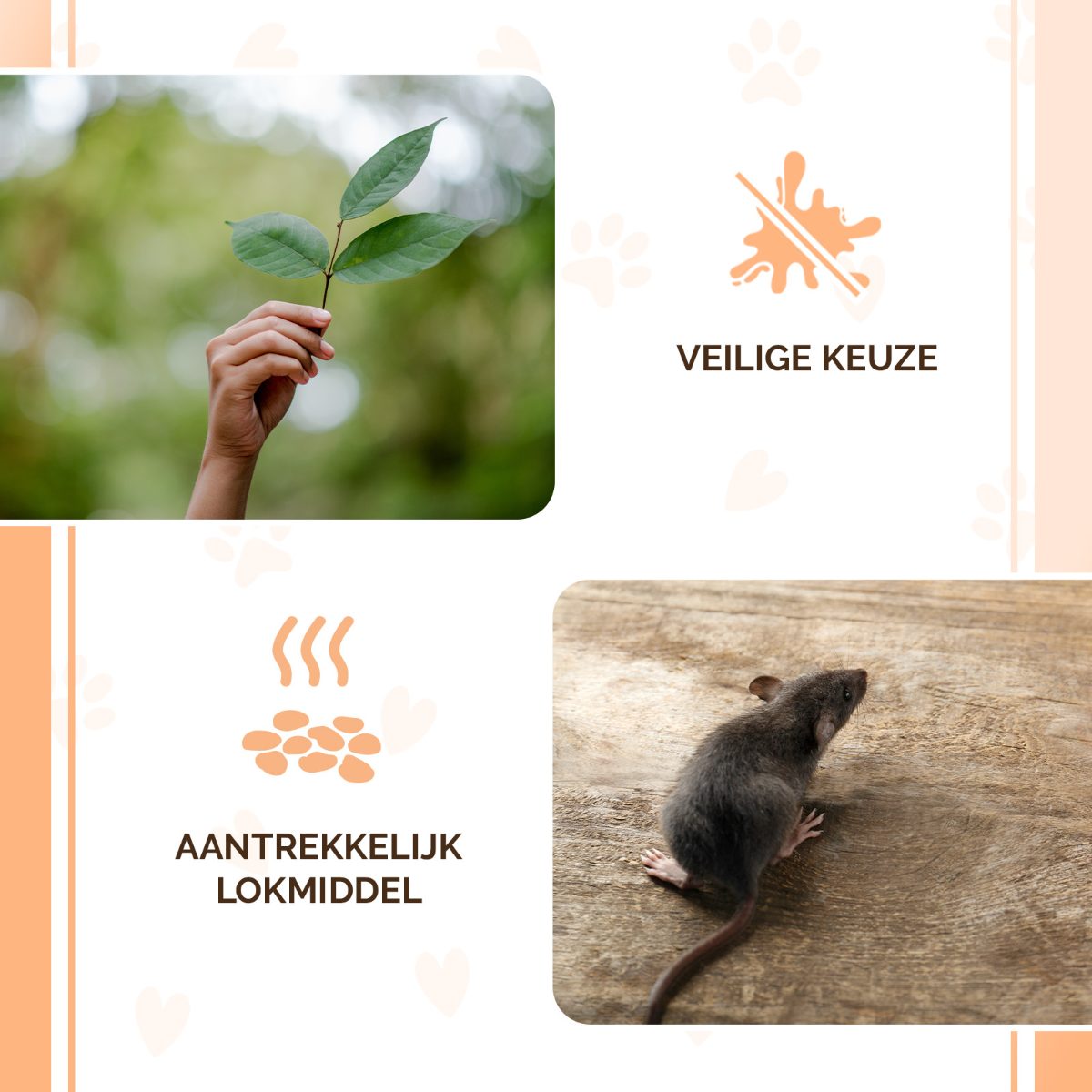 Knock Pest Traktatie Pellets 50 g - Afbeelding 4