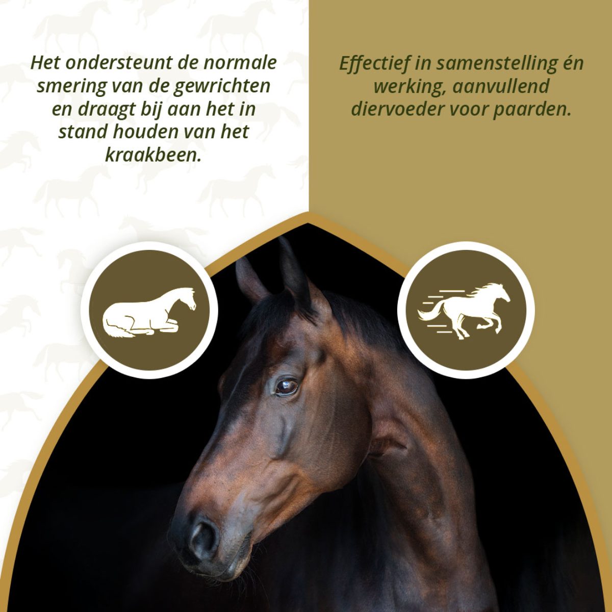 Excellent Horse Mobility Plus 2 kg - Afbeelding 4