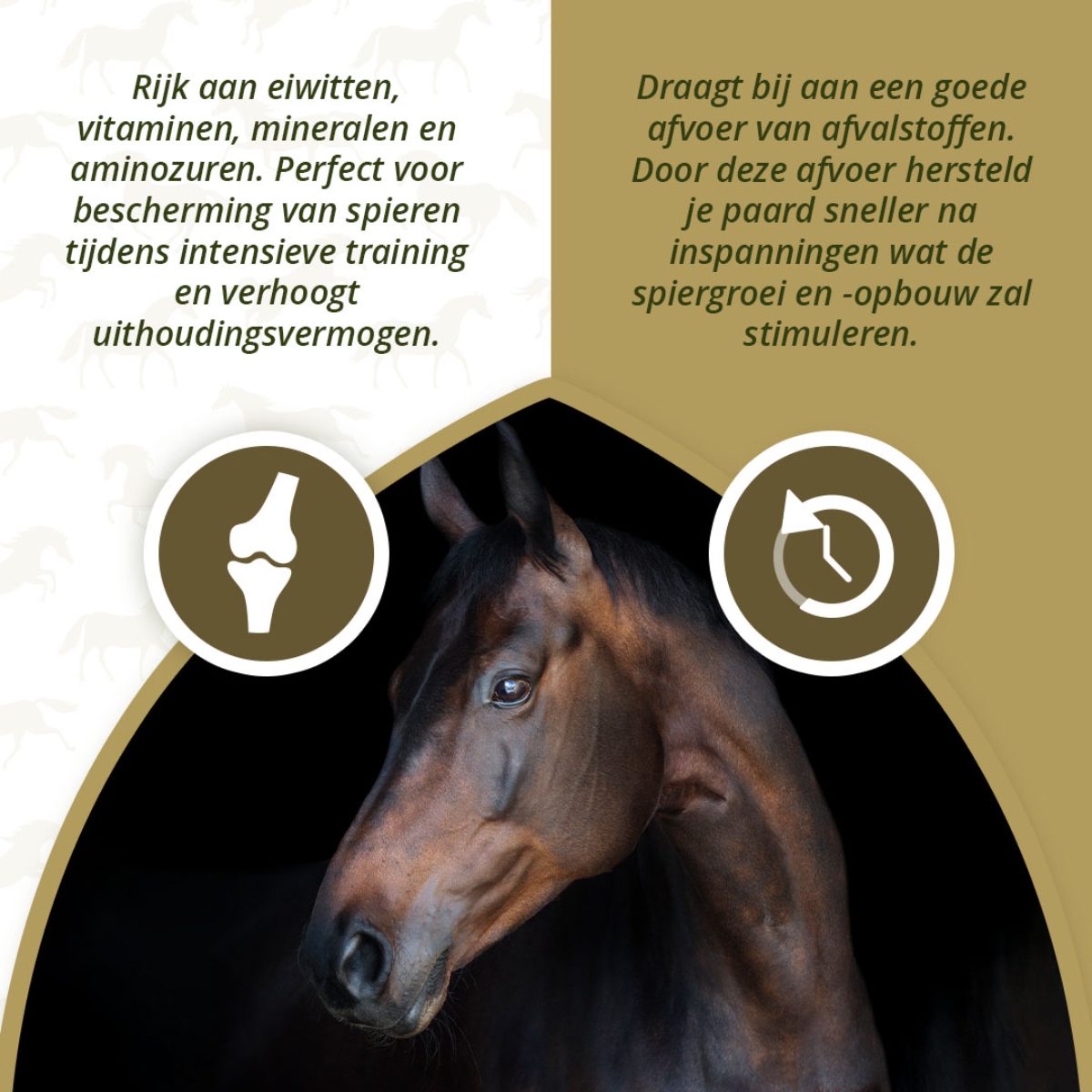 Excellent Horse Turbo 1 kg - Afbeelding 3