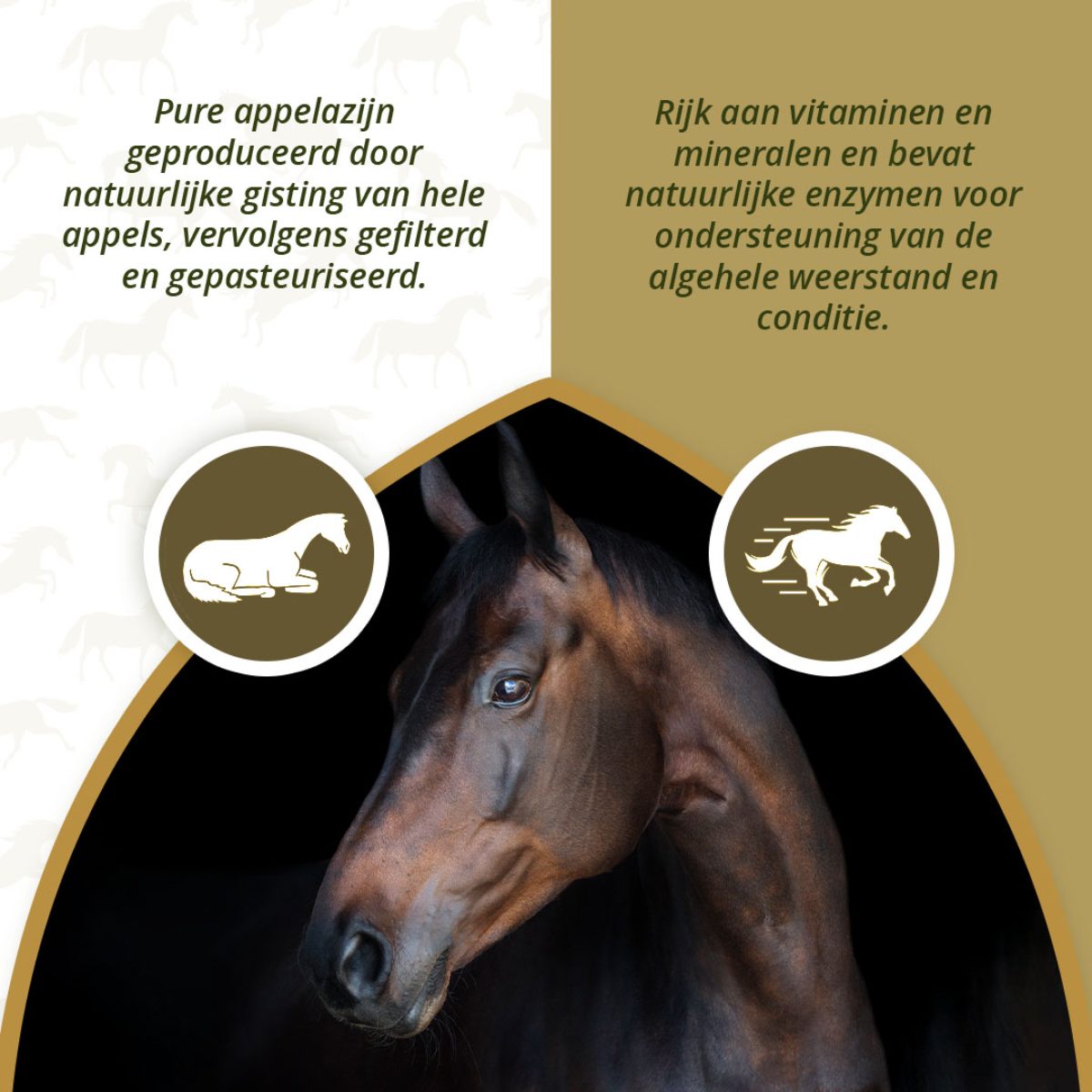 Excellent Horse Apple Vinegar 1 l - Afbeelding 3