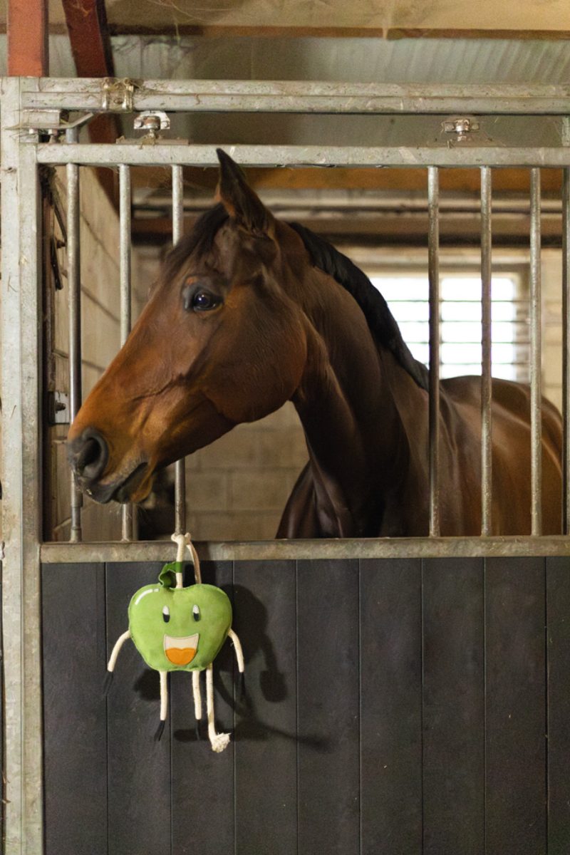 Excellent Horse Foodie Friends Apple - Afbeelding 3
