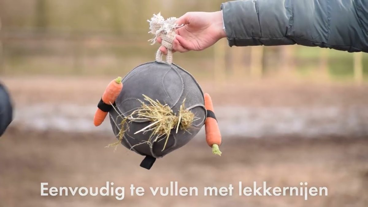 Excellent Horse Fun Play Ball Suede Blauw - Afbeelding 4