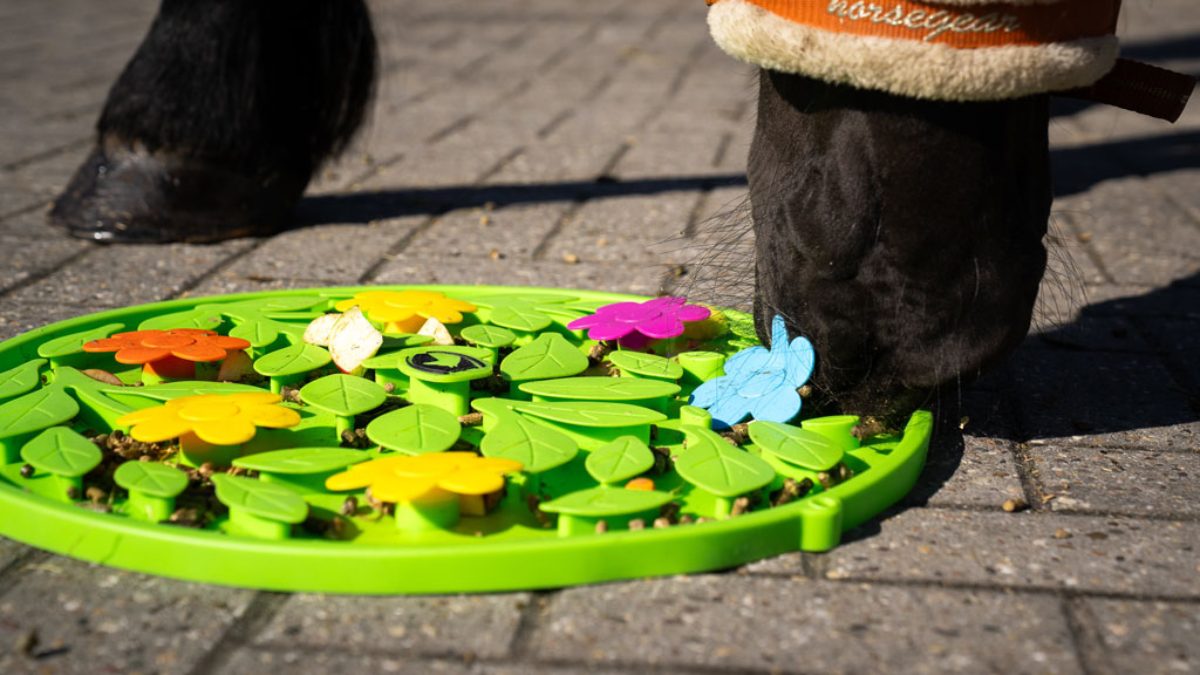 Excellent Horse Snuffle Mat Flower Power - Afbeelding 3