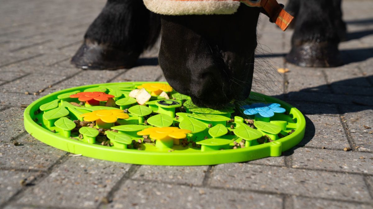 Excellent Horse Snuffle Mat Flower Power - Afbeelding 4