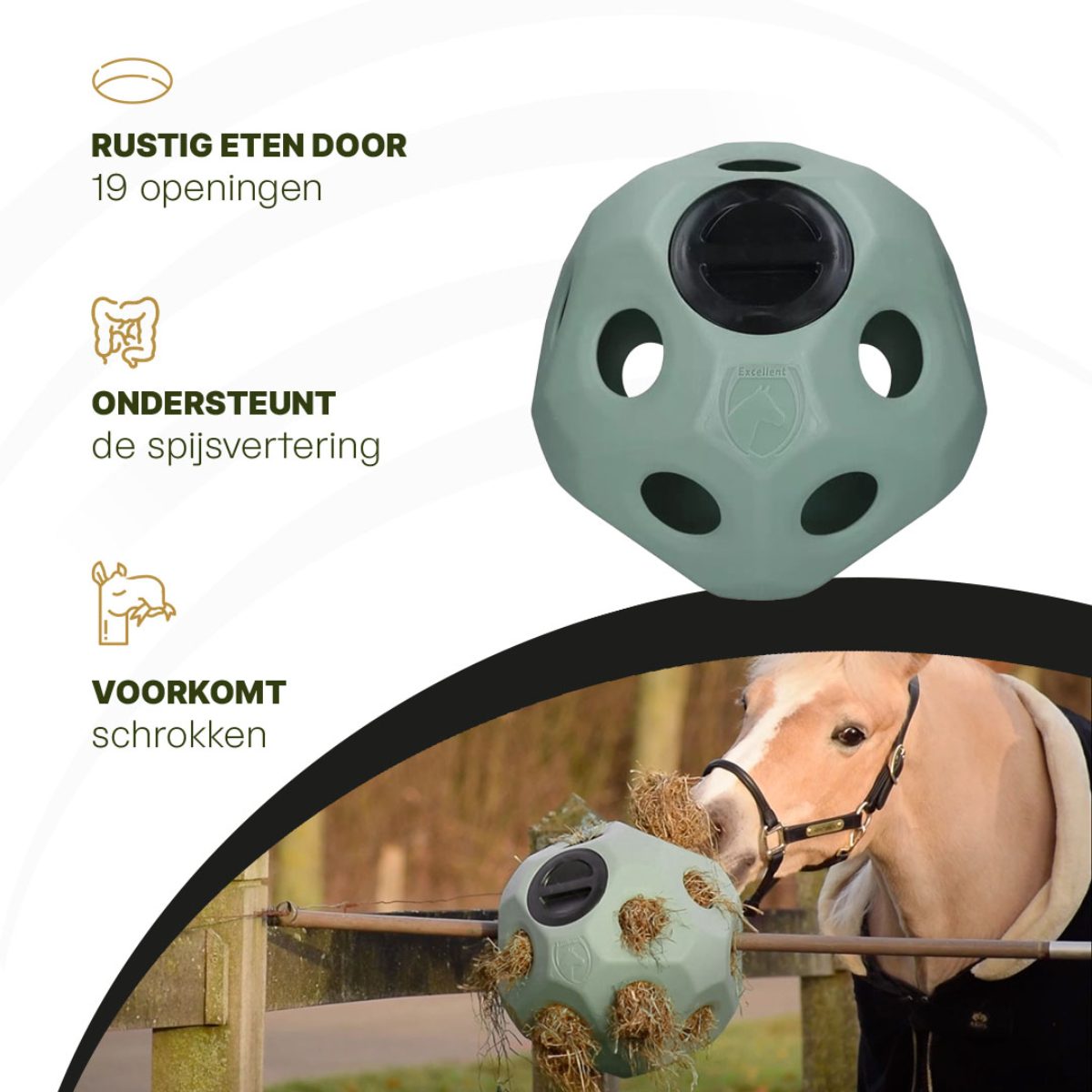 Excellent Horse Feed & Play Ball Groen - Afbeelding 5