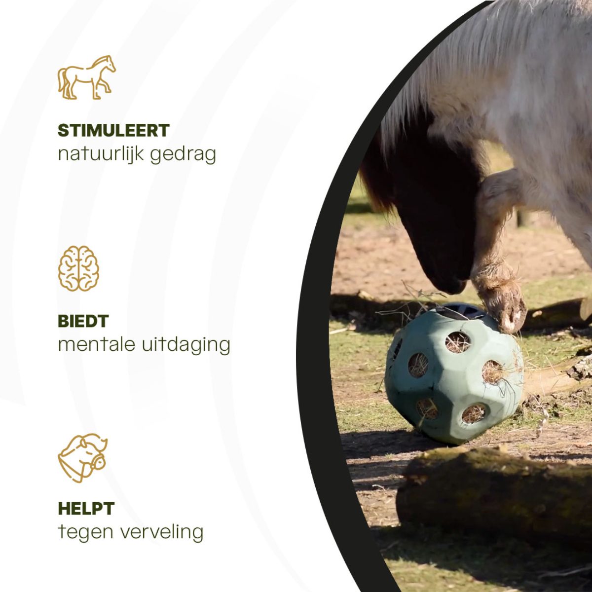 Excellent Horse Feed & Play Ball Groen - Afbeelding 6