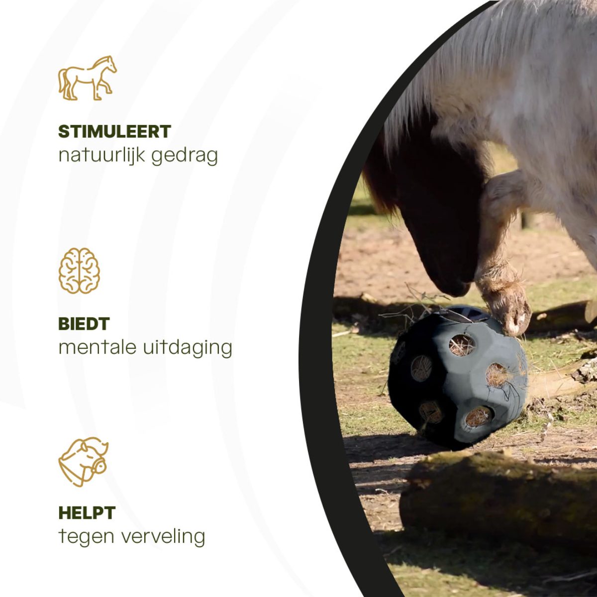 Excellent Horse Feed & Play Ball Zwart - Afbeelding 6