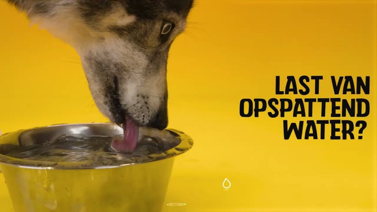 Excellent Pets No-Spill Bowl 300ml Antraciet S - Afbeelding 4