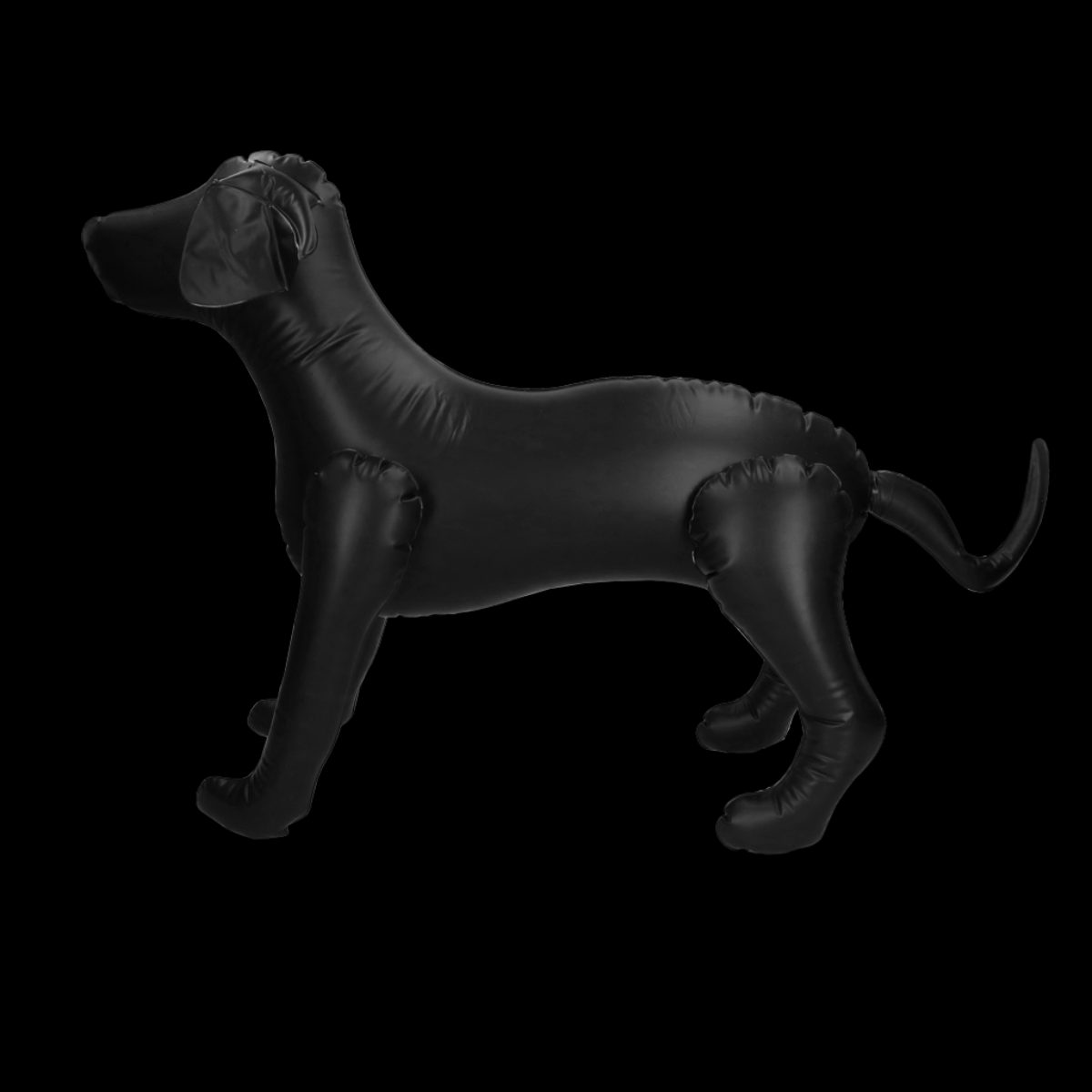 Opblaasbare hond voor promotiedoeleinden in winkels of op evenementen Zwart - Afbeelding 2