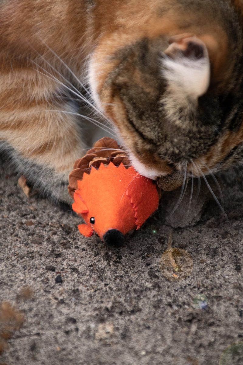 Forest Friends Mouse Oranje - Afbeelding 4