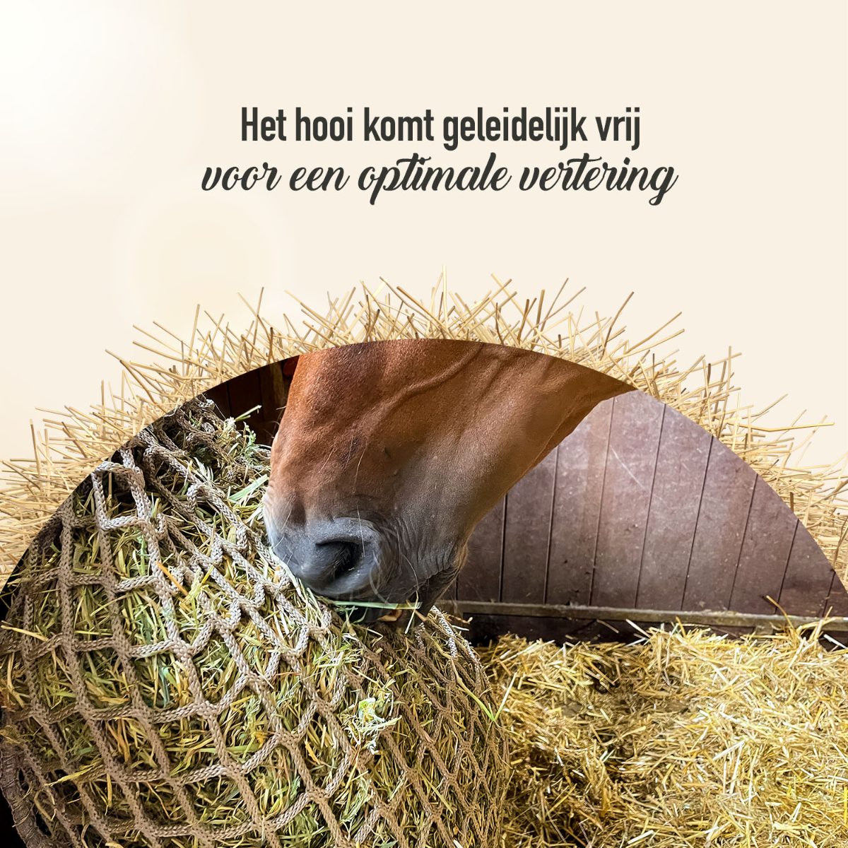 Hay Slow Feeder Net 10 kg (45 mm) - Afbeelding 6
