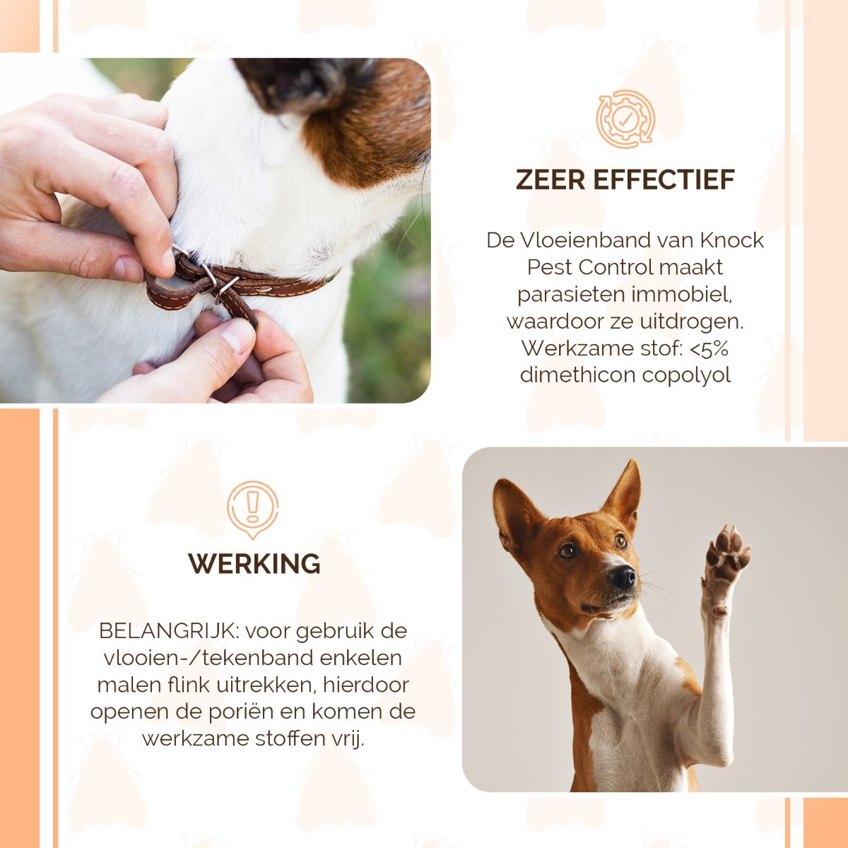 Knock Pest Vlooien/Tekenband Hond 33 cm DE/UK - Afbeelding 4