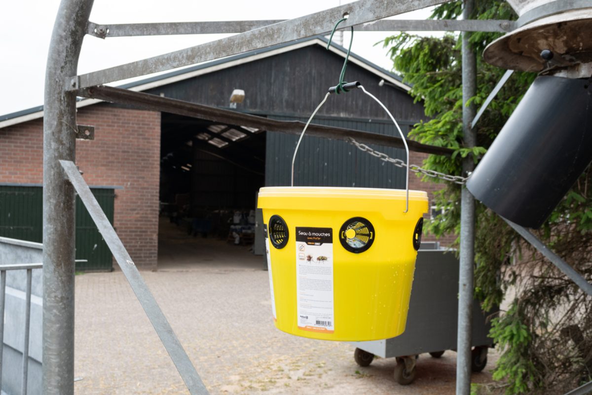 Knock Pest FlyNip VliegenEmmer (incl. traktatie) - Afbeelding 2