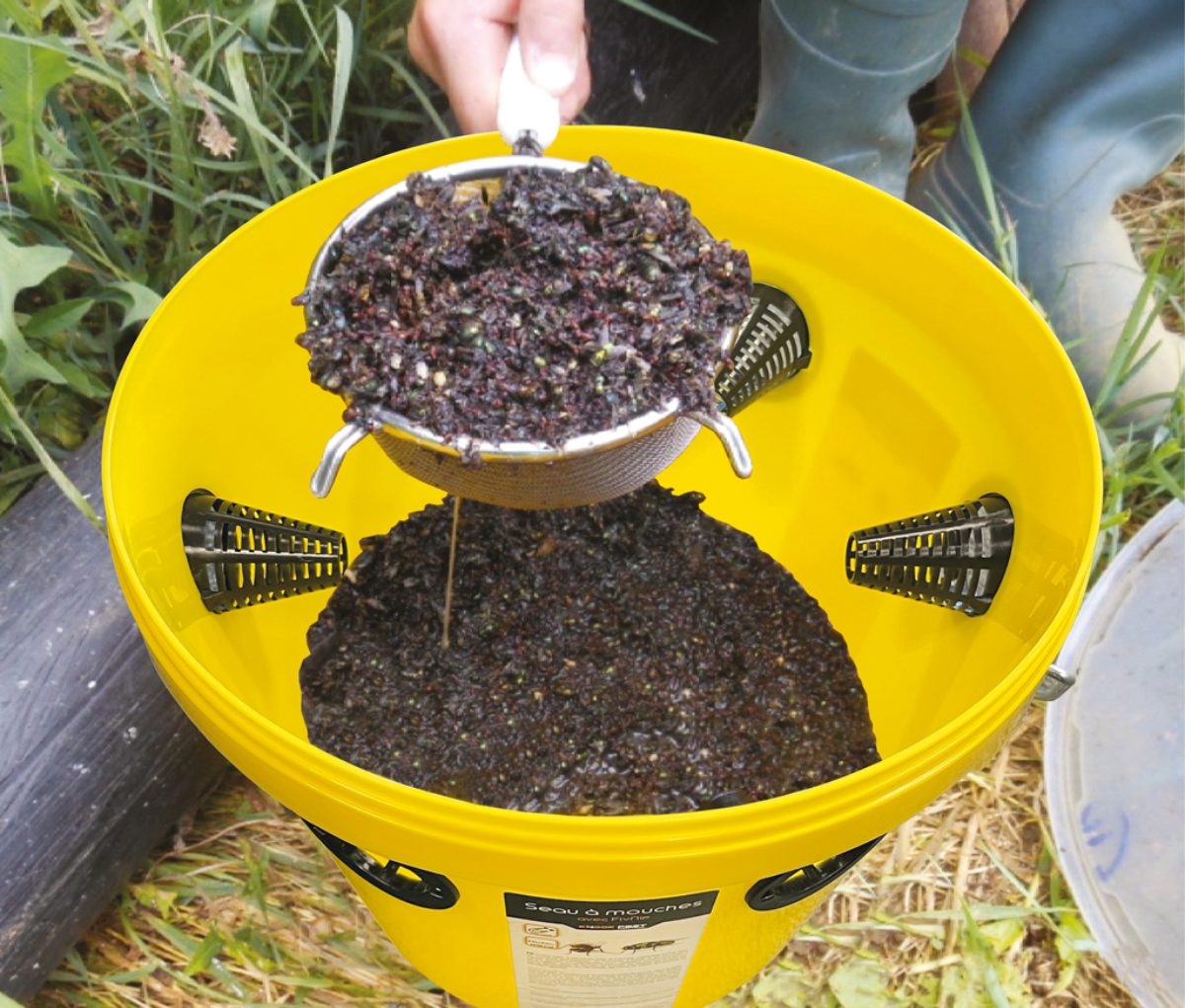 Knock Pest FlyNip VliegenEmmer (incl. traktatie) - Afbeelding 3