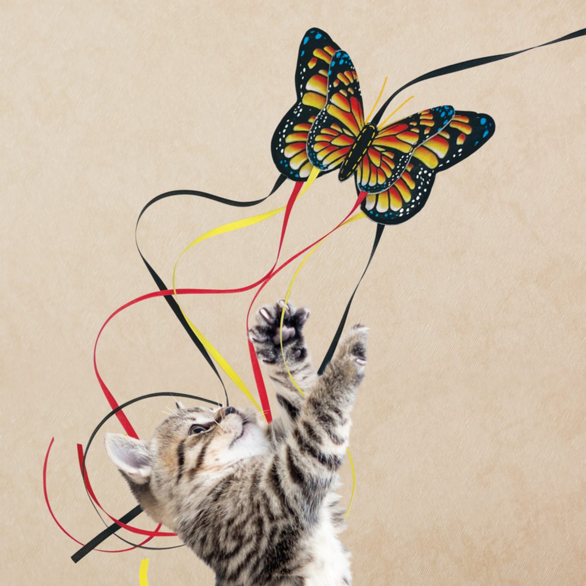 KONG Teaser Butterfly Assorted Vlinder - Afbeelding 6