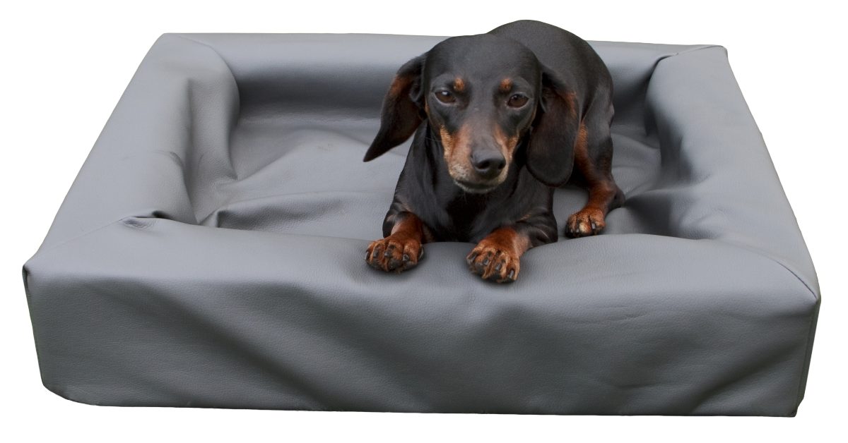 Lounge Hondenbed S - 50 x 60 cm - Afbeelding 3