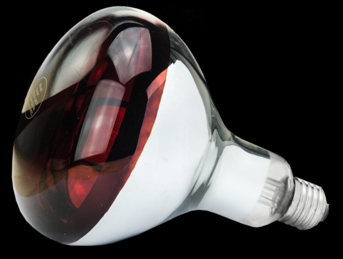 Hard Glas Lamp 250 W - Rood