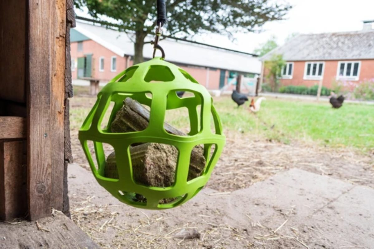 Lax Pikblok voor Legkippen 3,5 kg - Afbeelding 2