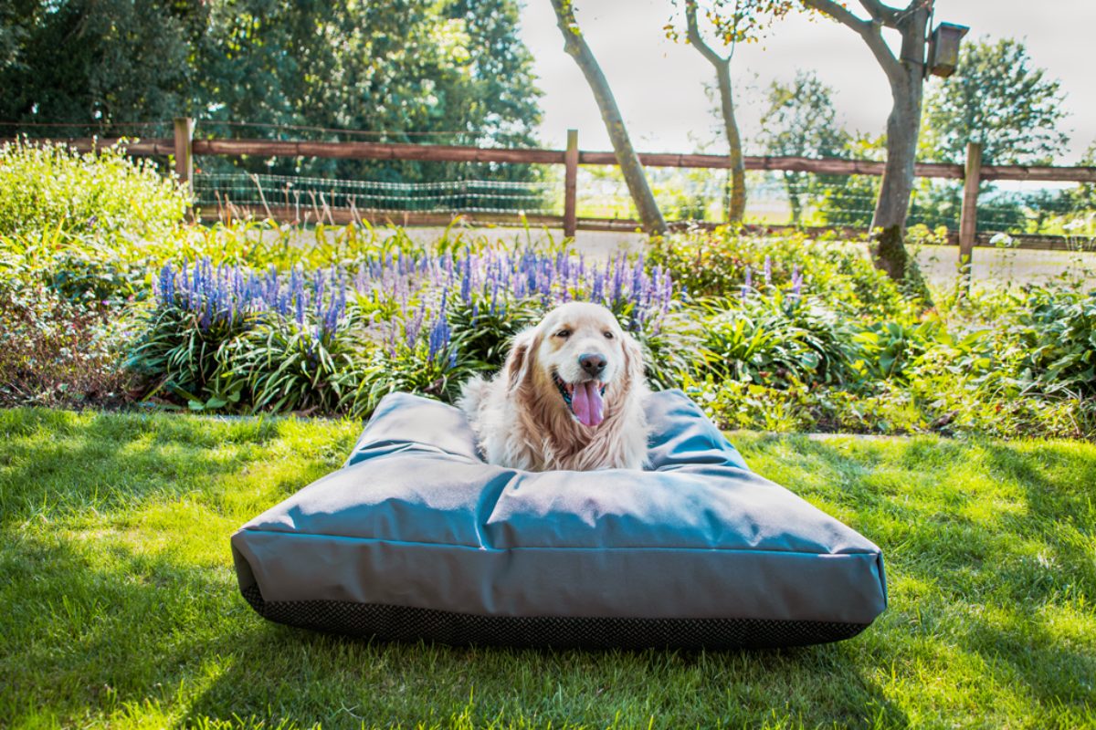 Let's Sleep Cushy Cloud Hondenkussen Buiten M Antraciet - Afbeelding 3