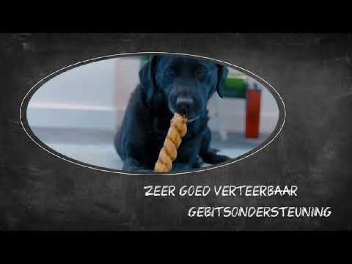 Luna's Choice Collagen Chews Stick Zalm S - Afbeelding 5