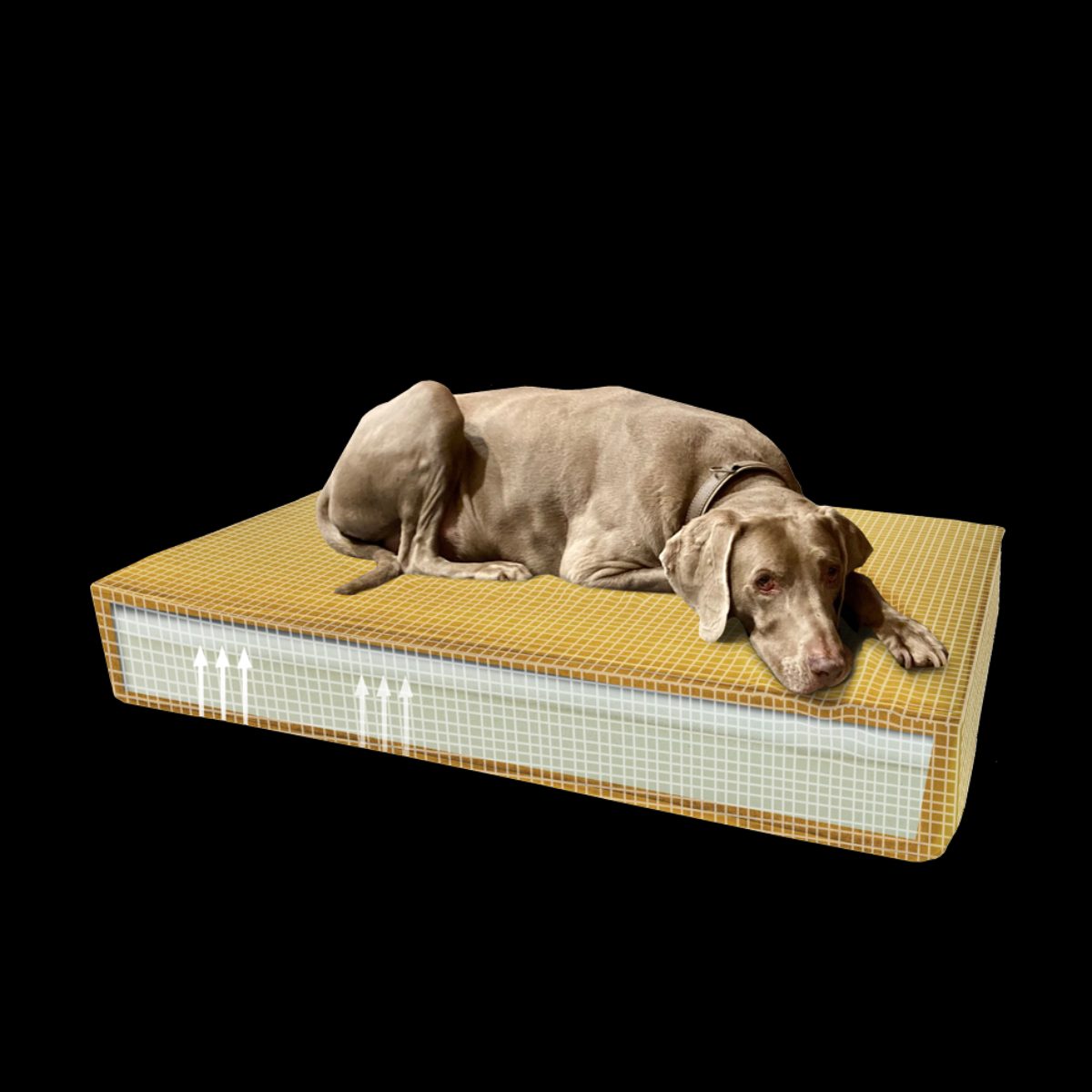 Madison Orthopedisch Kussen Velvet Geel S - Afbeelding 2