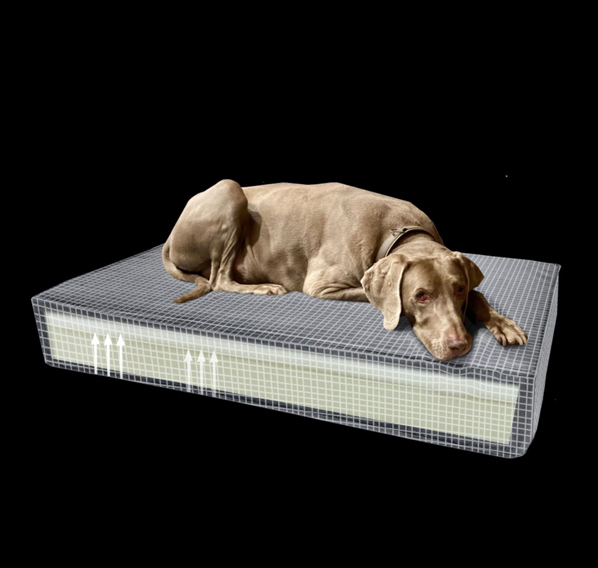 Madison Orthopedisch Kussen Velvet Geel S - Afbeelding 6