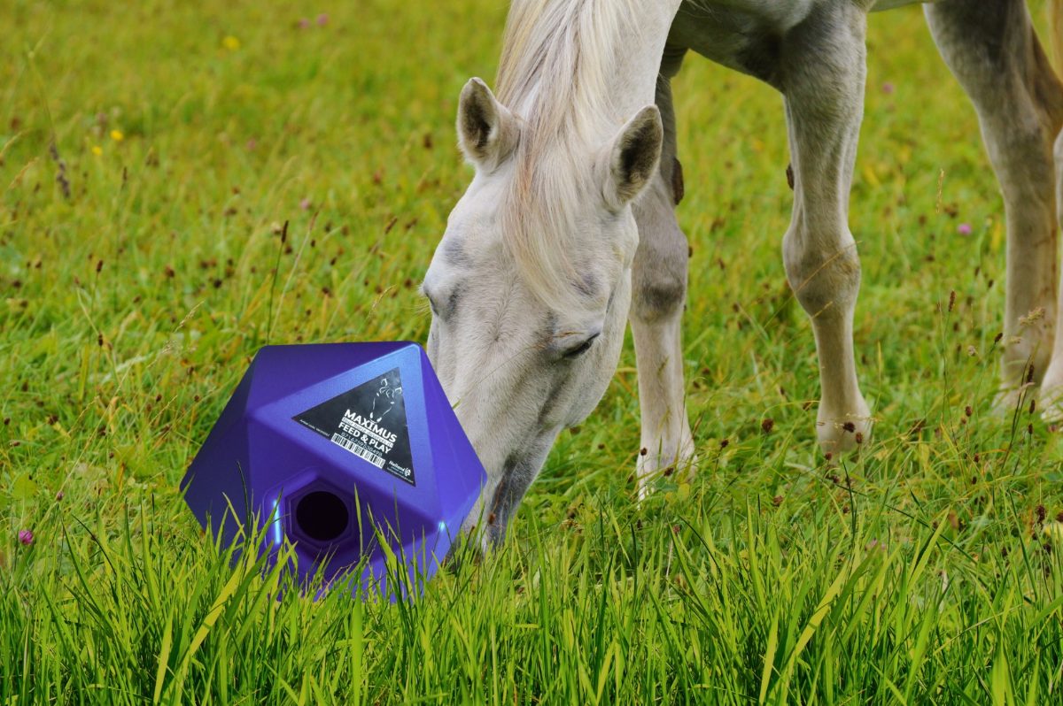 Maximus Feed & Play Blauw - Afbeelding 3