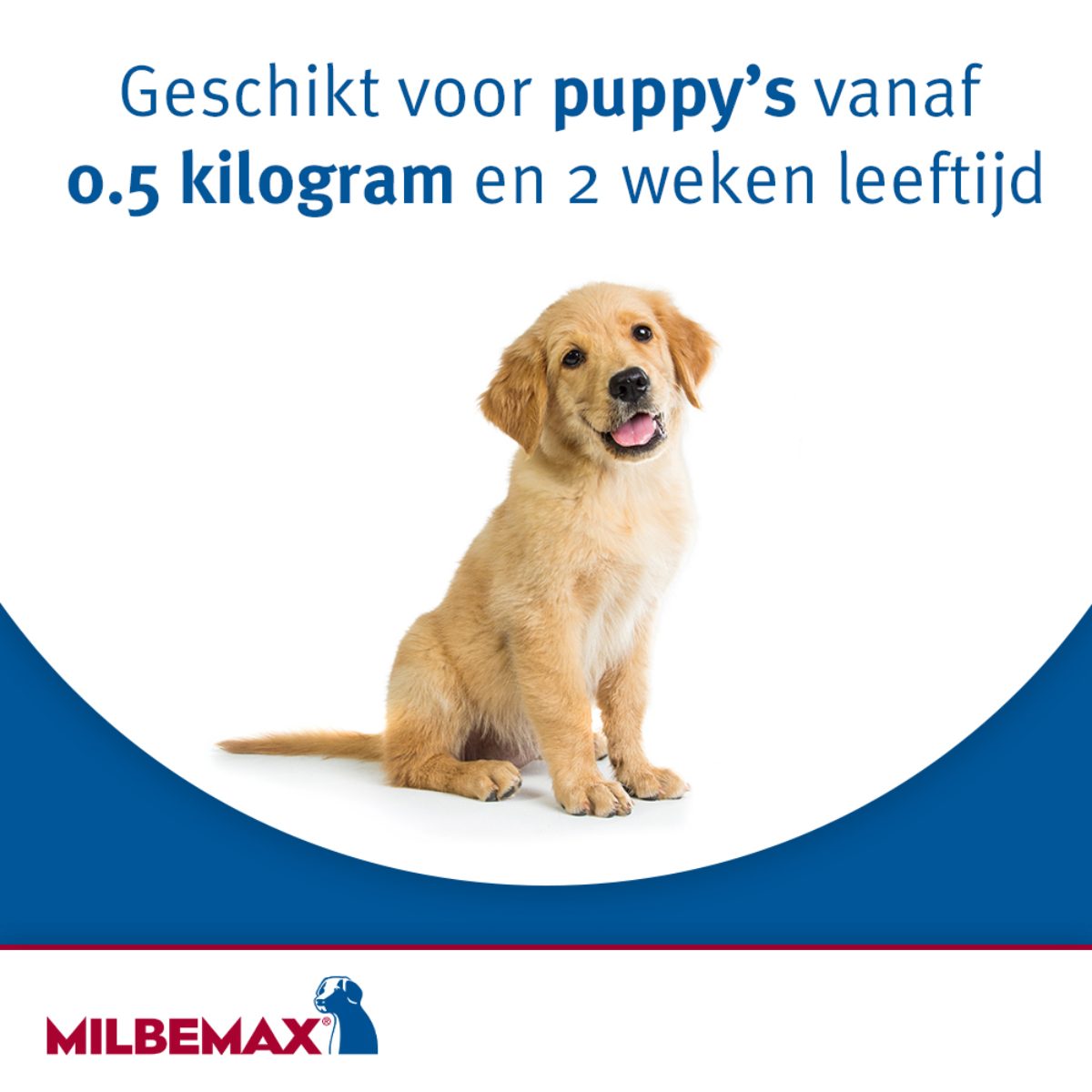 Milbemax Tabletten Puppy/Kleine hond <5kg 2 tabl. - Afbeelding 3