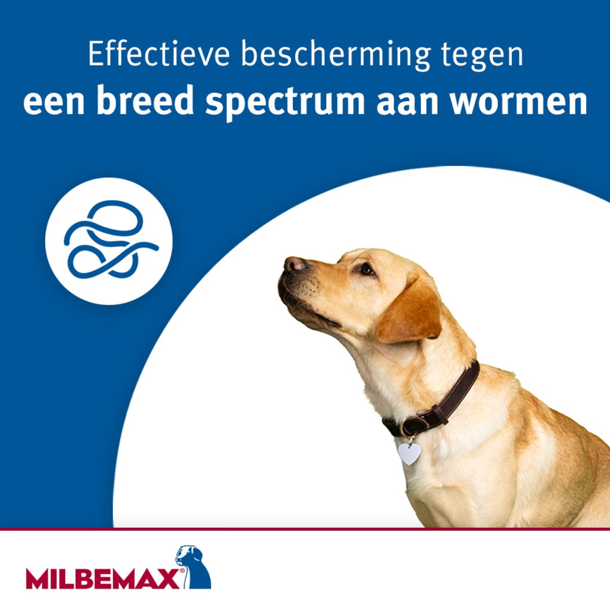 Milbemax Tabletten Puppy/Kleine hond <5kg 4 tabl. - Afbeelding 4