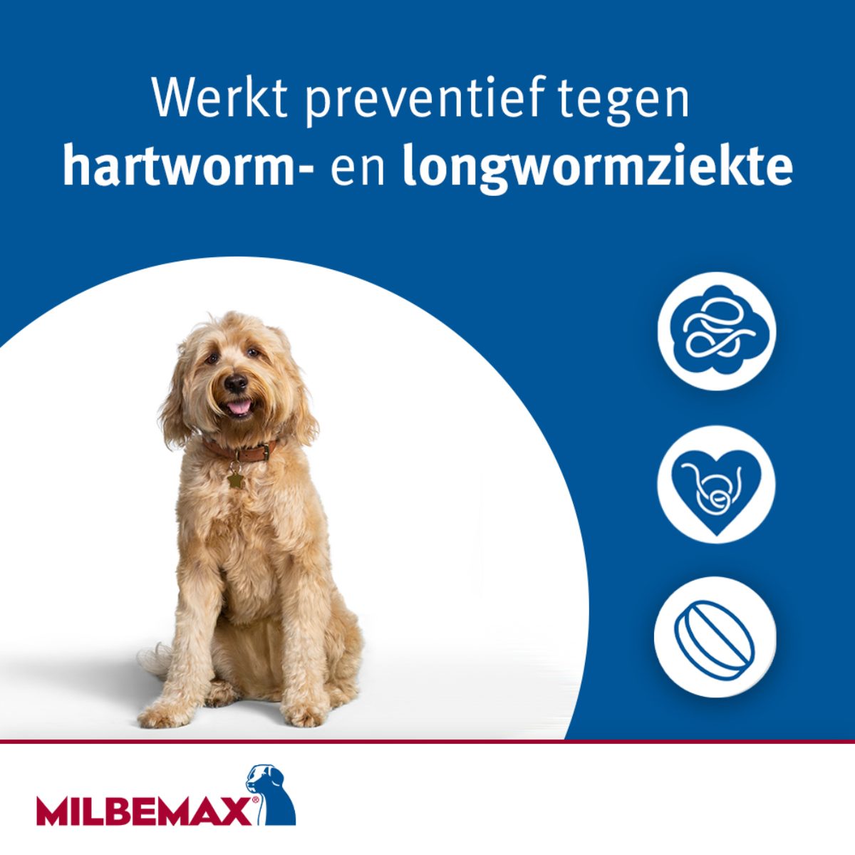 Milbemax Tabletten Puppy/Kleine hond <5kg 4 tabl. - Afbeelding 5
