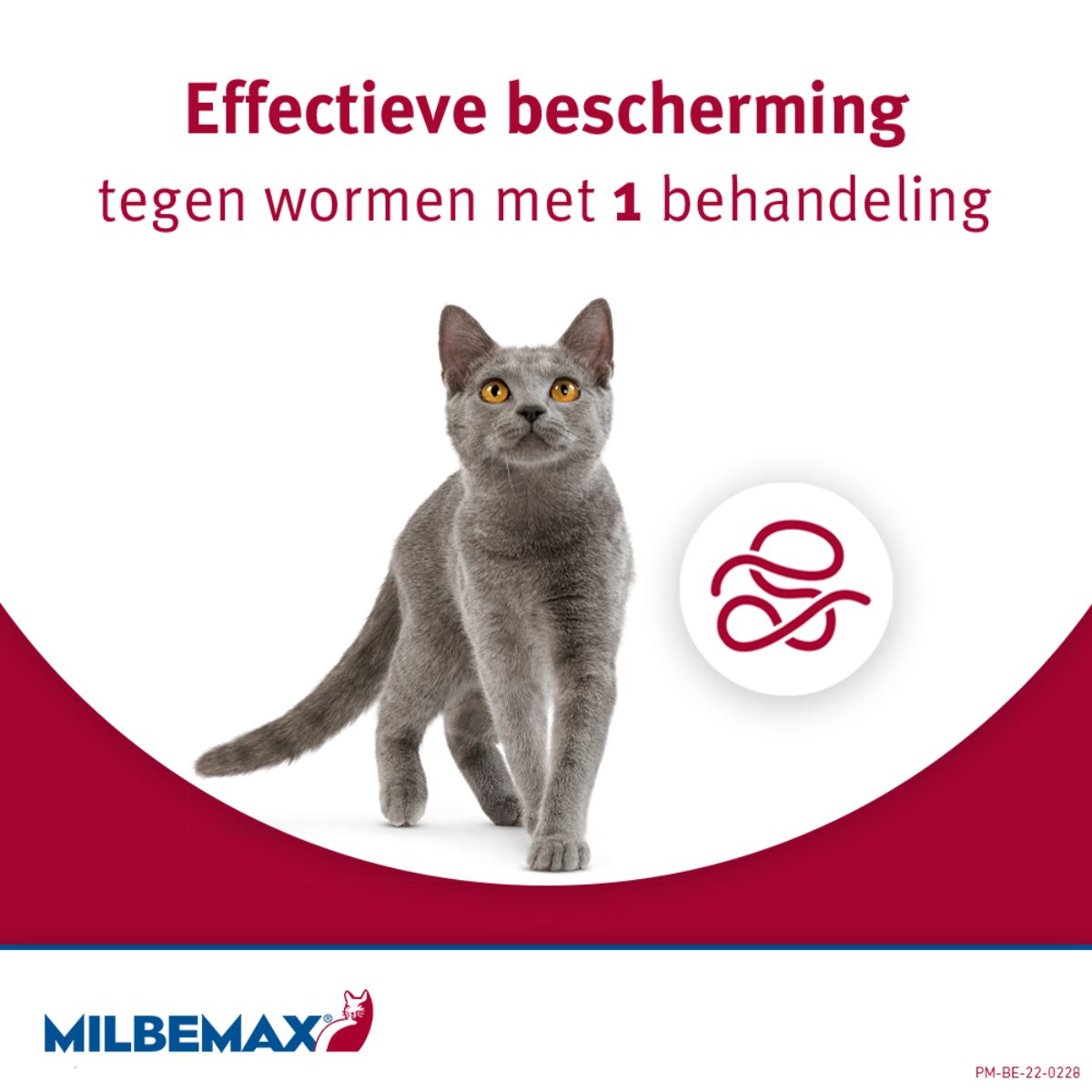 Milbemax Tabletten Kitten/Kat Klein R 0,5-2kg 2 tabl. - Afbeelding 2