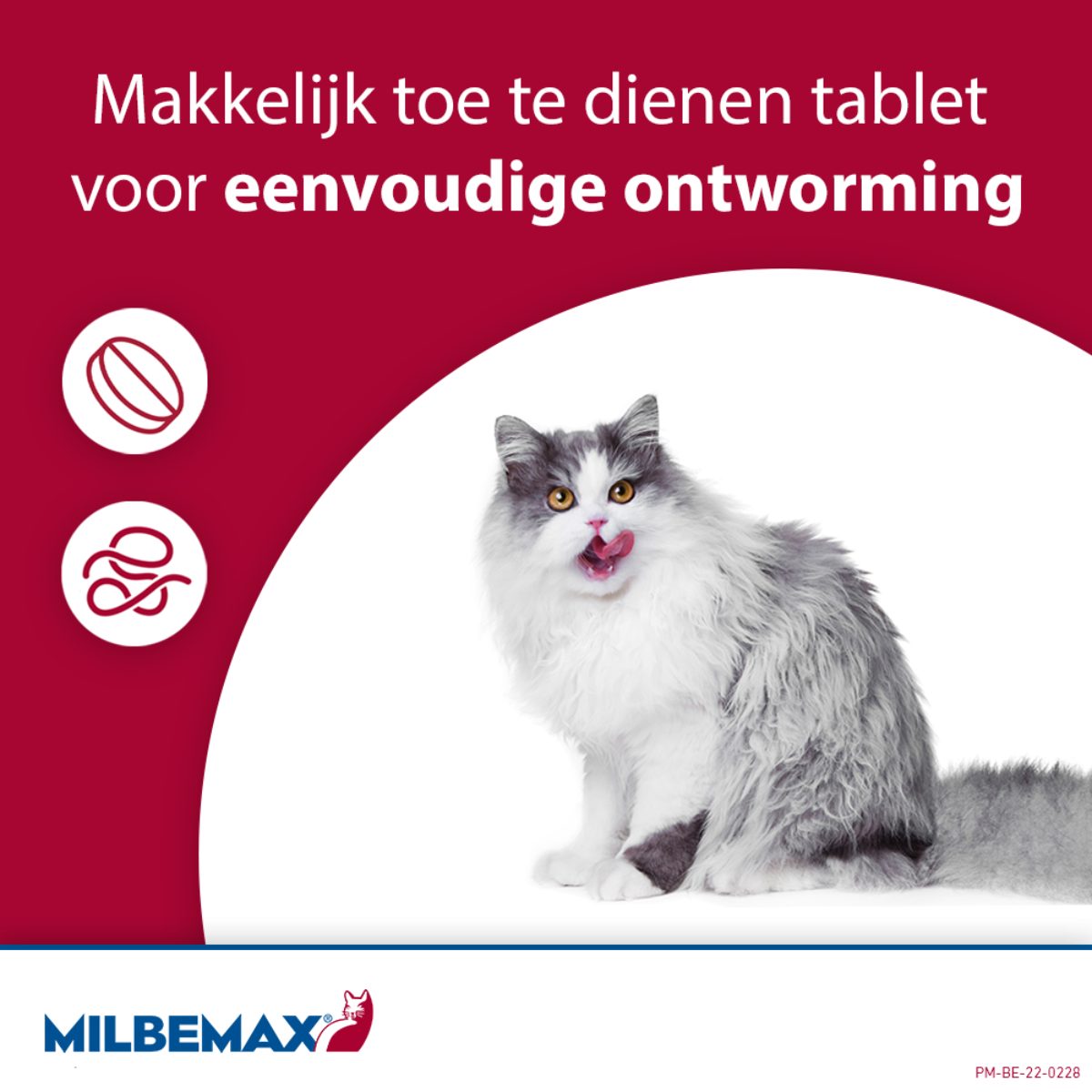 Milbemax Tabletten Kitten/Kat Klein R 0,5-2kg 2 tabl. - Afbeelding 3