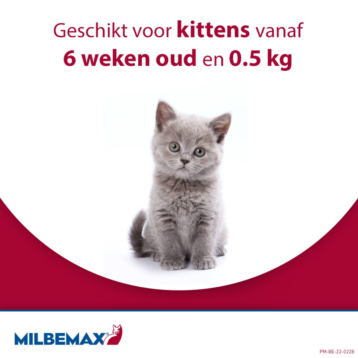 Milbemax Tabletten Kitten/Kat Klein R 0,5-2kg 2 tabl. - Afbeelding 4