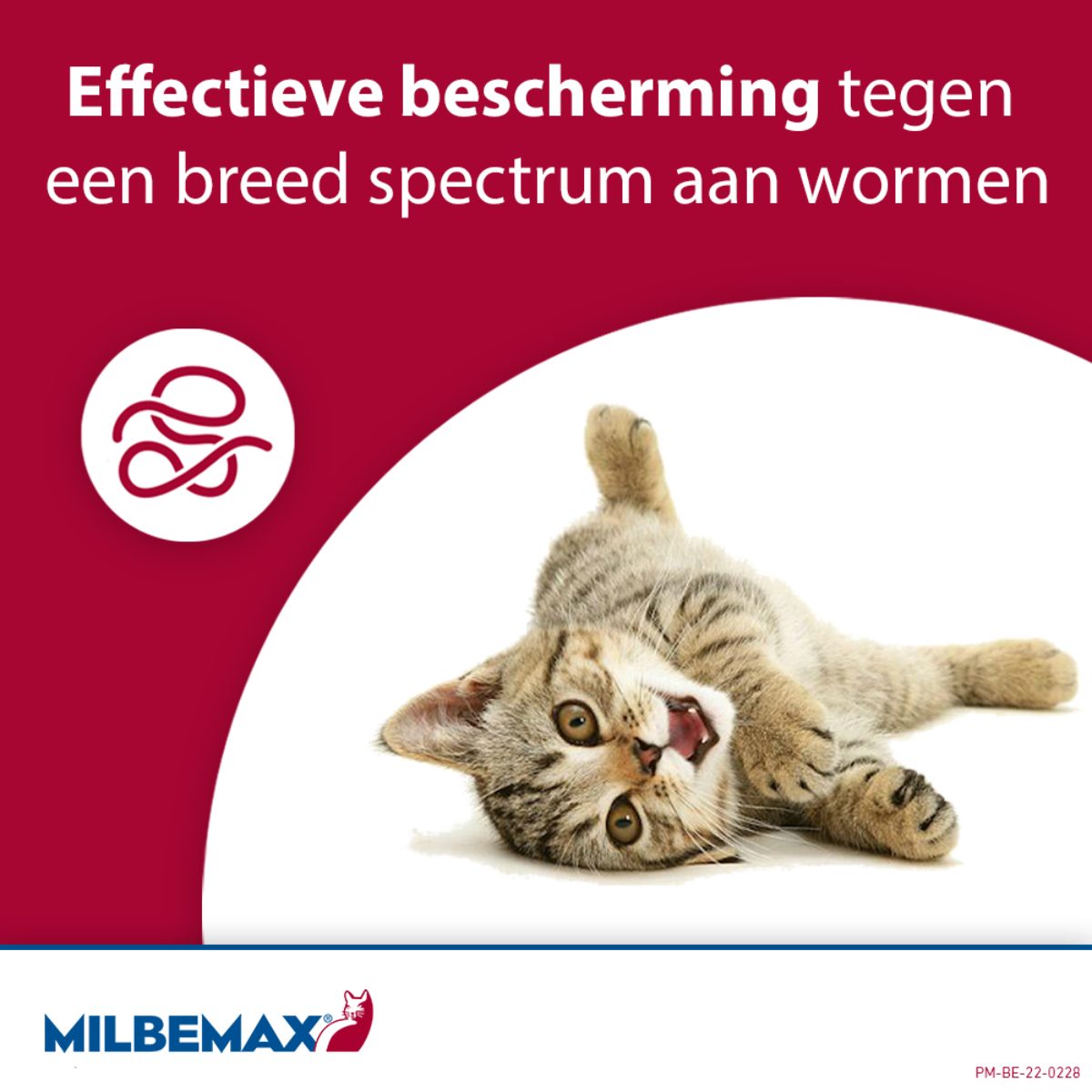 Milbemax Tabletten Kitten/Kat Klein R 0,5-2kg 2 tabl. - Afbeelding 5