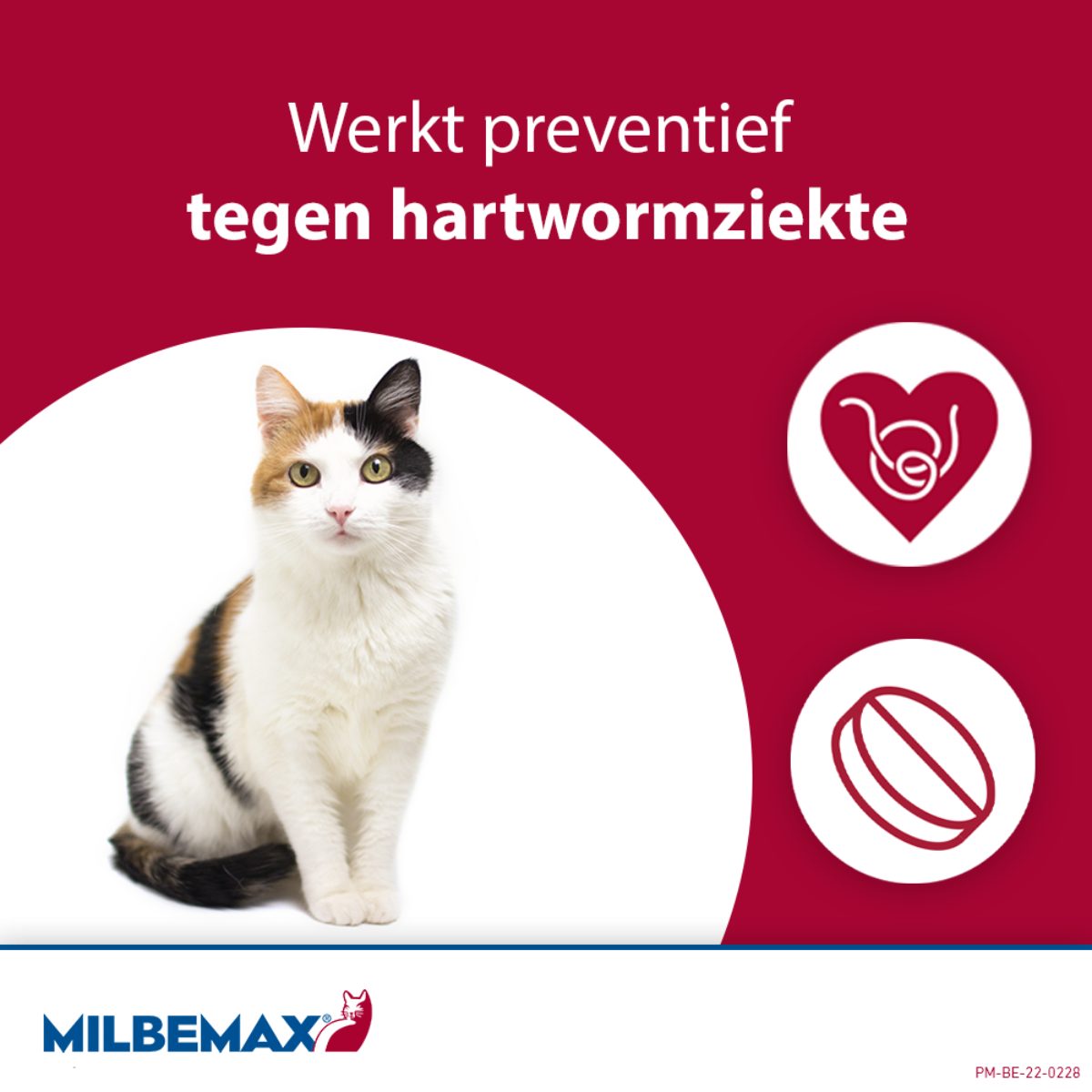 Milbemax Tabletten Kitten/Kat Klein R 0,5-2kg 2 tabl. - Afbeelding 6