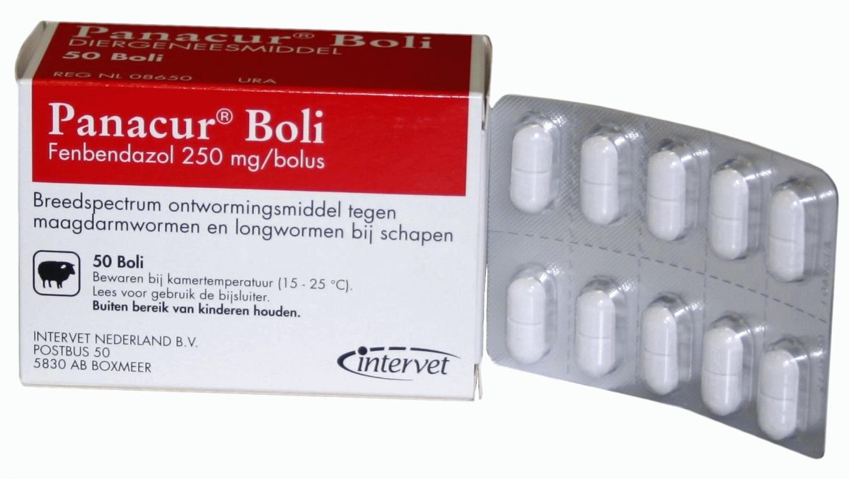 Panacur boli REG NL URA - Afbeelding 2