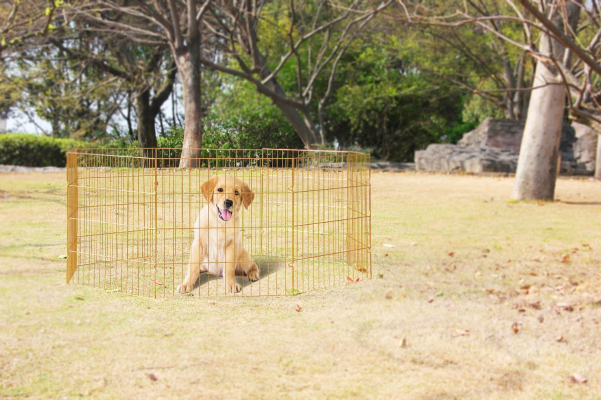 Pawise Dog Play Pen S - Afbeelding 2