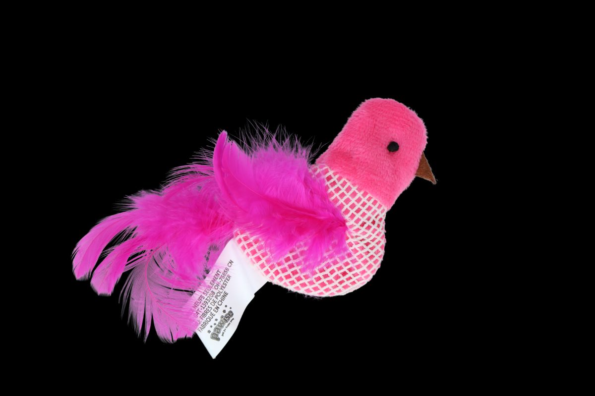 Pawise 100% Catnip Toy Vogel - Afbeelding 4