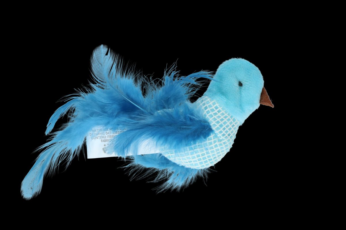 Pawise 100% Catnip Toy Vogel - Afbeelding 5