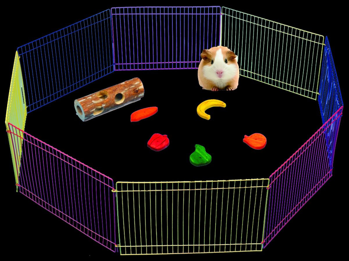 Pawise Small Animal Play Pen