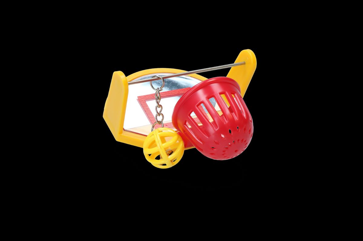 Pawise Bird Basketball - Afbeelding 2