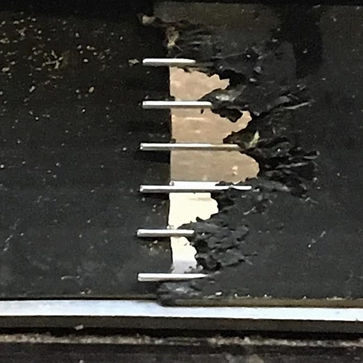 Raxit Door Seal 1 meter met Shielding Strip - Afbeelding 2